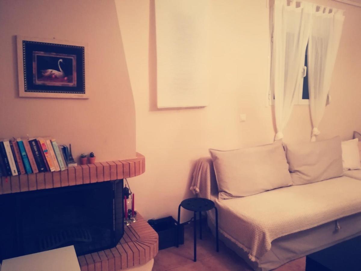 Lux House Next To The Airport Of Athens. Transport 24H Villa Artemida  Exteriör bild